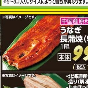 うなぎの蒲焼き