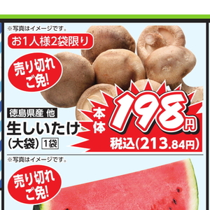 しいたけ