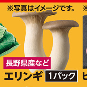 エリンギ