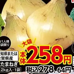 たまねぎ