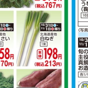 はくさい