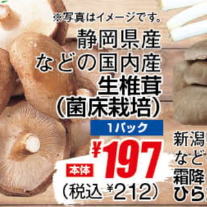 しいたけ