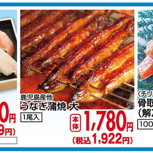 うなぎの蒲焼き
