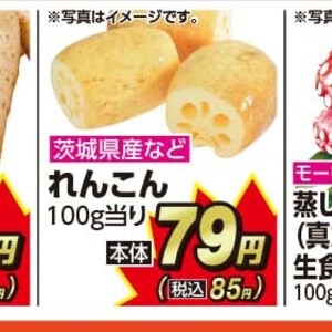 レンコン