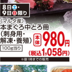 まぐろ中とろ