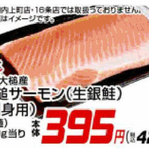 サーモン（刺身）