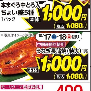 うなぎの蒲焼き