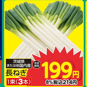 ながねぎ