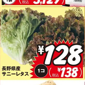 レタス