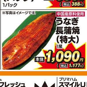 うなぎの蒲焼き