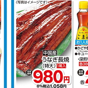 うなぎの蒲焼き