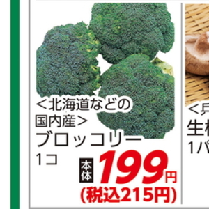 ブロッコリー