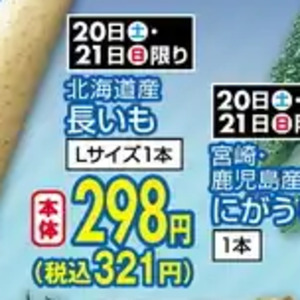 ながねぎ