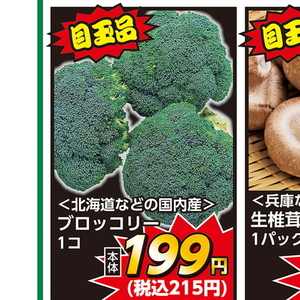ブロッコリー