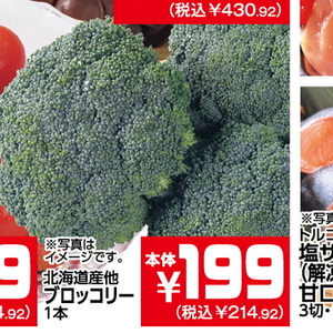 ブロッコリー