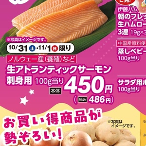 サーモン（刺身）