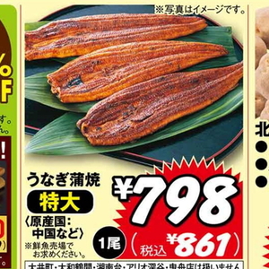 うなぎの蒲焼き