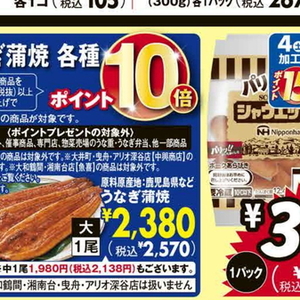 うなぎの蒲焼き