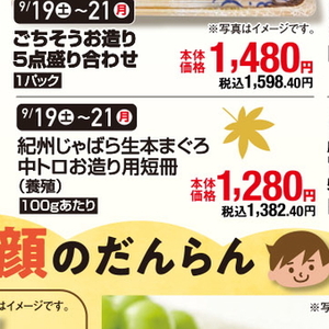 まぐろ中とろ