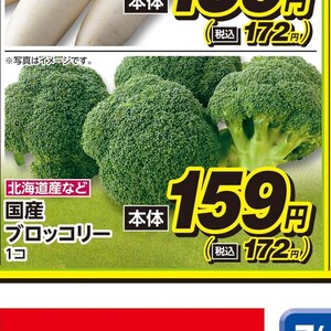 ブロッコリー