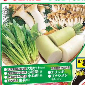 こまつ菜