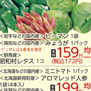 みょうが