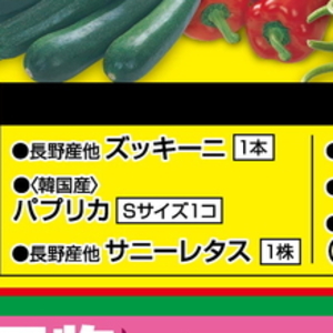ズッキーニ
