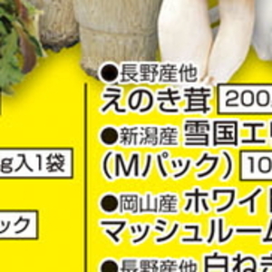 エリンギ