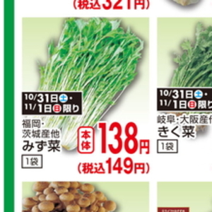 水菜