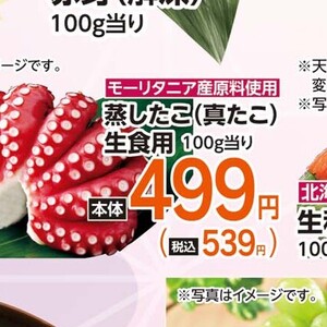 たこ（ボイル）