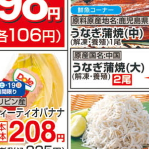 うなぎの蒲焼き