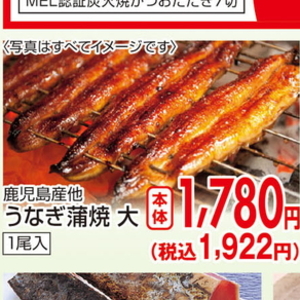 うなぎの蒲焼き