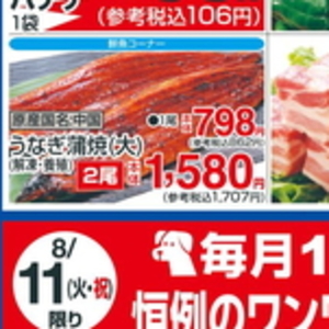 うなぎの蒲焼き