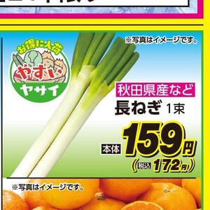 ながねぎ