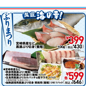 ぶり（切り身）