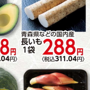 ながいも