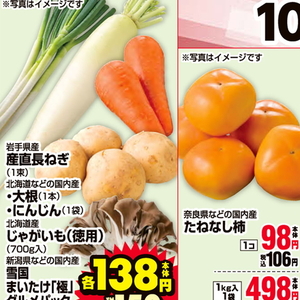 ながねぎ