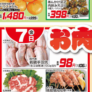 鶏手羽先