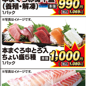 まぐろ中とろ