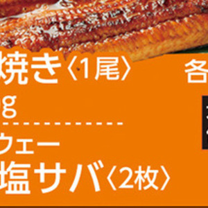 うなぎの蒲焼き