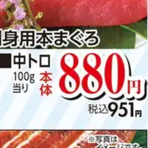 まぐろ中とろ