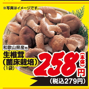 しいたけ