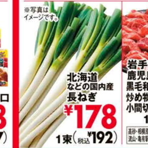 ながねぎ