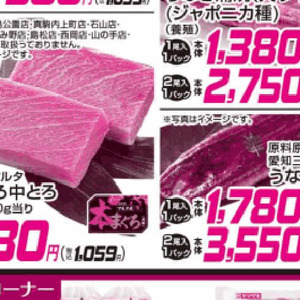 まぐろ中とろ