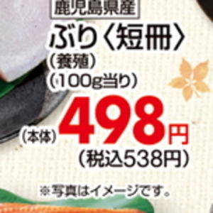 ぶり（さく取り）