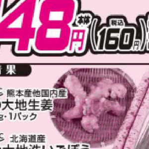 だいこん