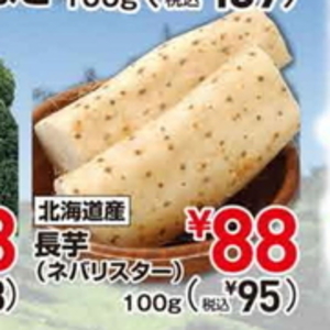 ながいも