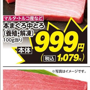 まぐろ中とろ