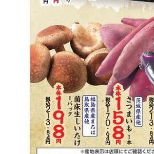 しいたけ