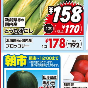 ブロッコリー